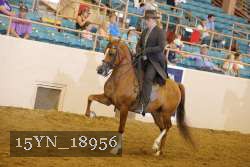 15YN_18956 thumbnail
