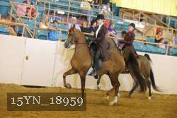 15YN_18959 thumbnail