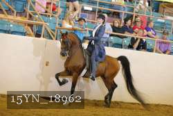 15YN_18962 thumbnail