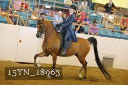 15YN_18963 thumbnail