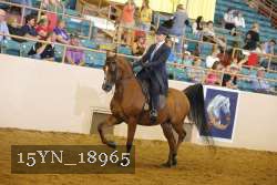 15YN_18965 thumbnail