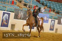 15YN_18976 thumbnail