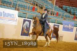 15YN_18989 thumbnail