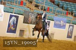 15YN_19005 thumbnail