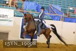 15YN_19008 thumbnail