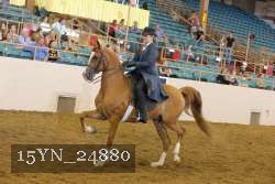 15YN_24880 thumbnail