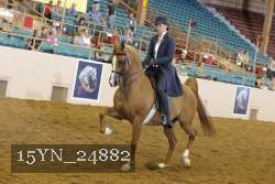 15YN_24882 thumbnail