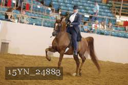 15YN_24883 thumbnail