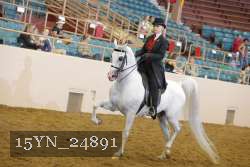 15YN_24891 thumbnail
