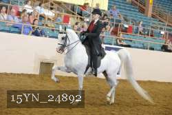 15YN_24892 thumbnail