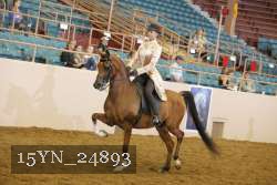 15YN_24893 thumbnail