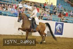 15YN_24894 thumbnail