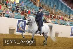 15YN_24906 thumbnail