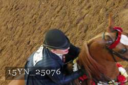15YN_25076 thumbnail
