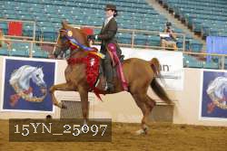 15YN_25097 thumbnail