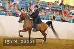 15YN_08061 thumbnail
