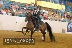 15YN_08073 thumbnail