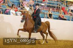 15YN_08075 thumbnail