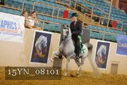 15YN_08101 thumbnail