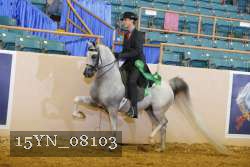 15YN_08103 thumbnail