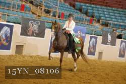 15YN_08106 thumbnail