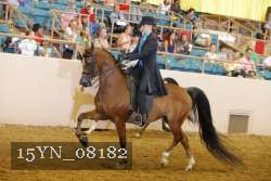 15YN_08182 thumbnail