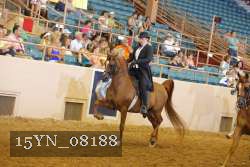 15YN_08188 thumbnail