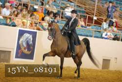 15YN_08191 thumbnail
