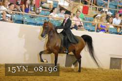 15YN_08196 thumbnail