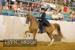 15YN_08200 thumbnail