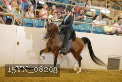 15YN_08203 thumbnail