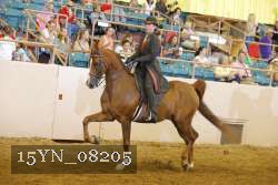 15YN_08205 thumbnail