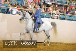 15YN_08207 thumbnail