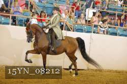 15YN_08212 thumbnail
