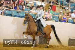 15YN_08213 thumbnail