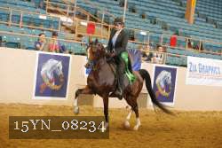 15YN_08234 thumbnail