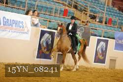 15YN_08241 thumbnail