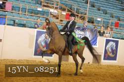 15YN_08251 thumbnail