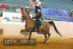 15YN_08252 thumbnail
