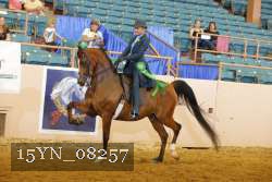 15YN_08257 thumbnail
