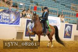 15YN_08261 thumbnail