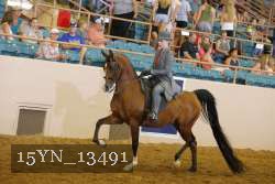 15YN_13491 thumbnail