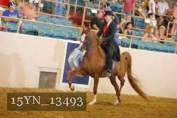 15YN_13493 thumbnail