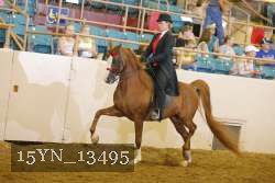 15YN_13495 thumbnail