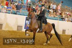 15YN_13496 thumbnail