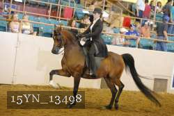 15YN_13498 thumbnail