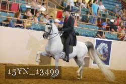 15YN_13499 thumbnail