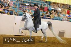 15YN_13500 thumbnail