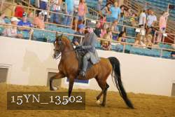15YN_13502 thumbnail