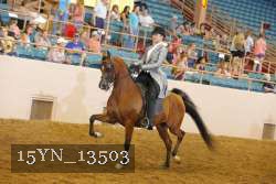 15YN_13503 thumbnail